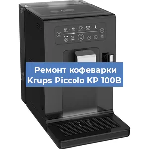 Чистка кофемашины Krups Piccolo KP 100B от накипи в Челябинске
